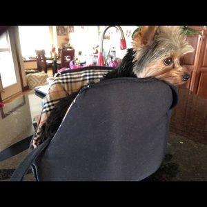 Burberry London dog pet carrier 12” bag